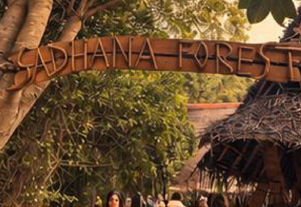 The timber entrance sign to Sadhana Forest, an Auroville reforestation community.