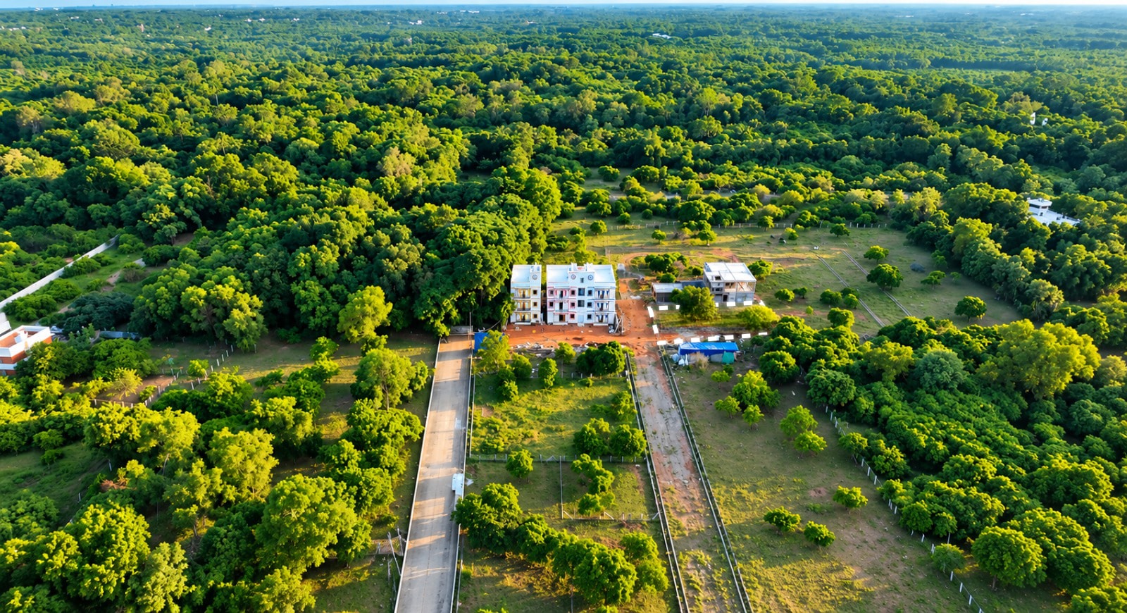 High aerial view of the approach road leading to the site, surrounded by forest canopy on every side.